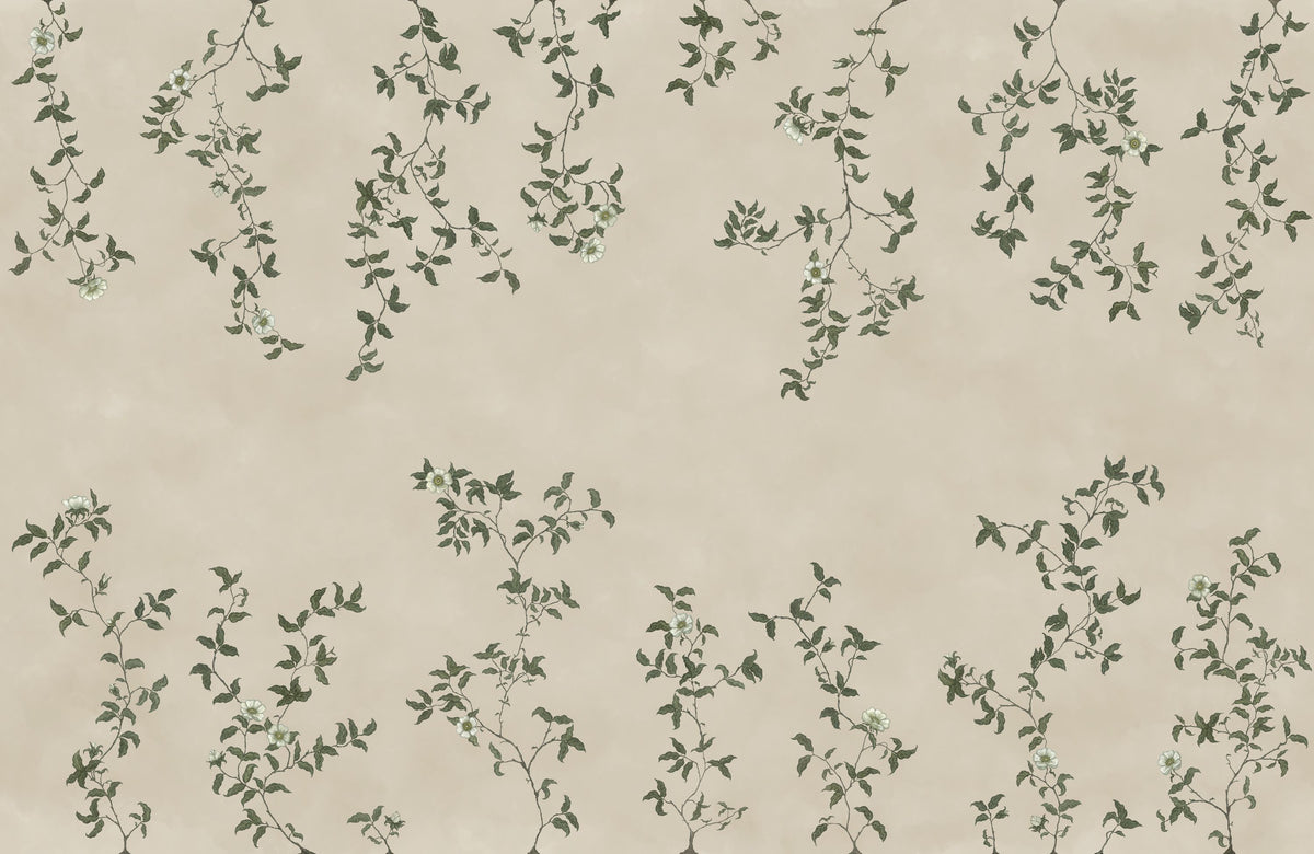 Rambling Rose, Ivory on Light Beige Mural Wallpaper - pure wallpaper artwork