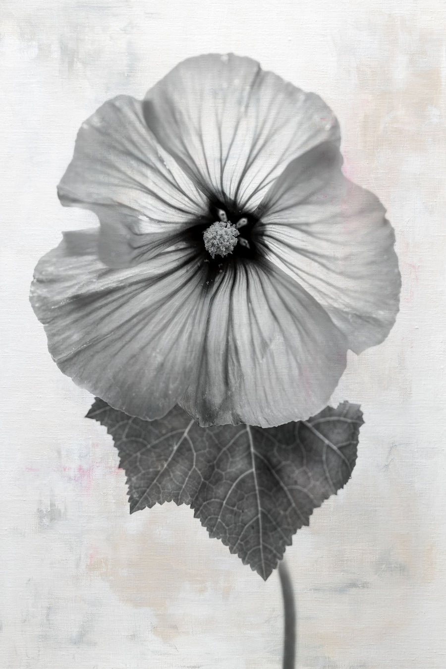 Wonderful Wildflowers III Neutral Mural Wallpaper