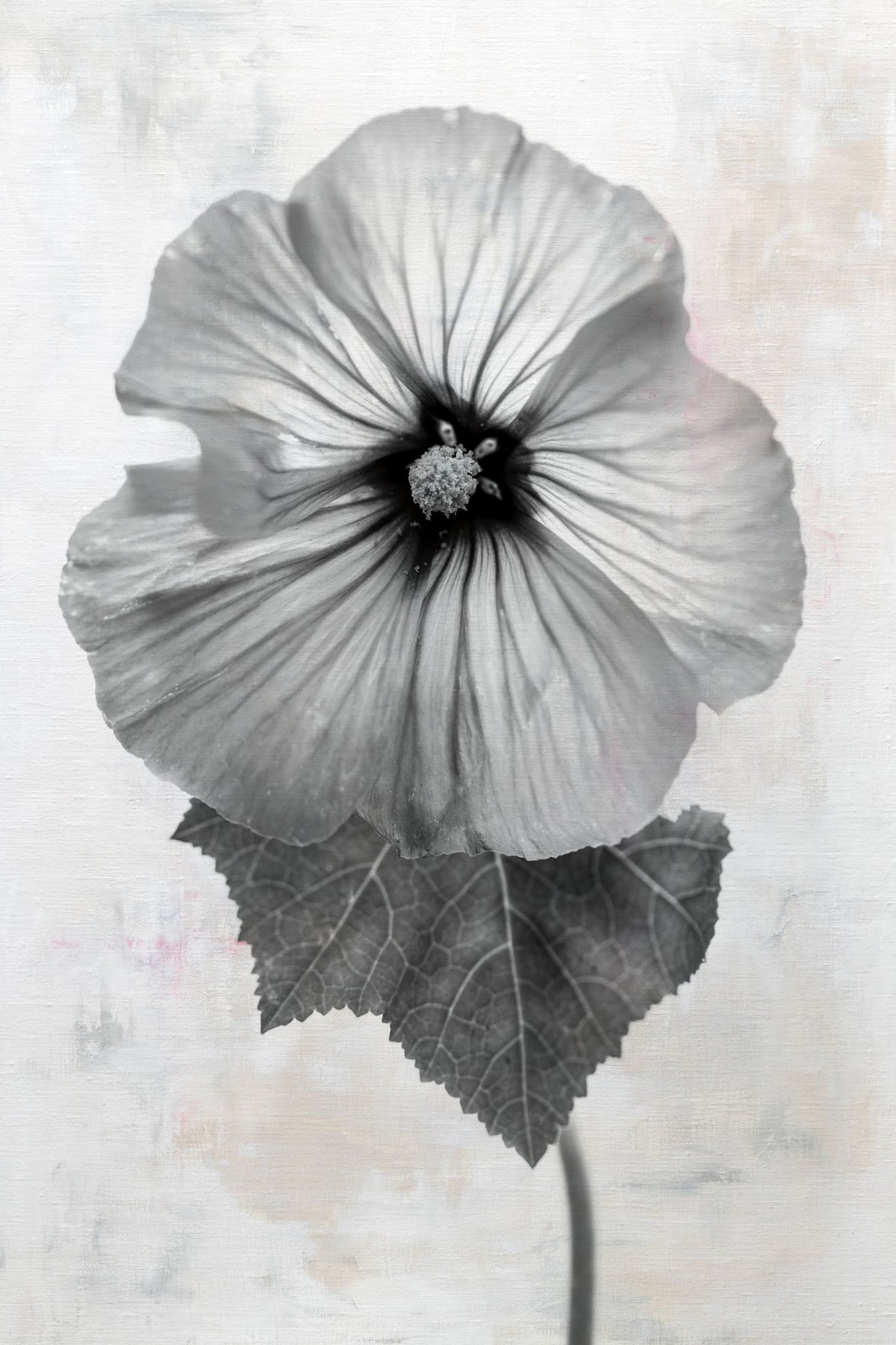 Wonderful Wildflowers III Neutral Mural Wallpaper - pure wallpaper artwork