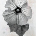 Wonderful Wildflowers III Neutral Mural Wallpaper - pure wallpaper artwork