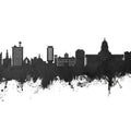 Madison Wisconsin Skyline Black & White Mural Wallpaper - pure wallpaper artwork