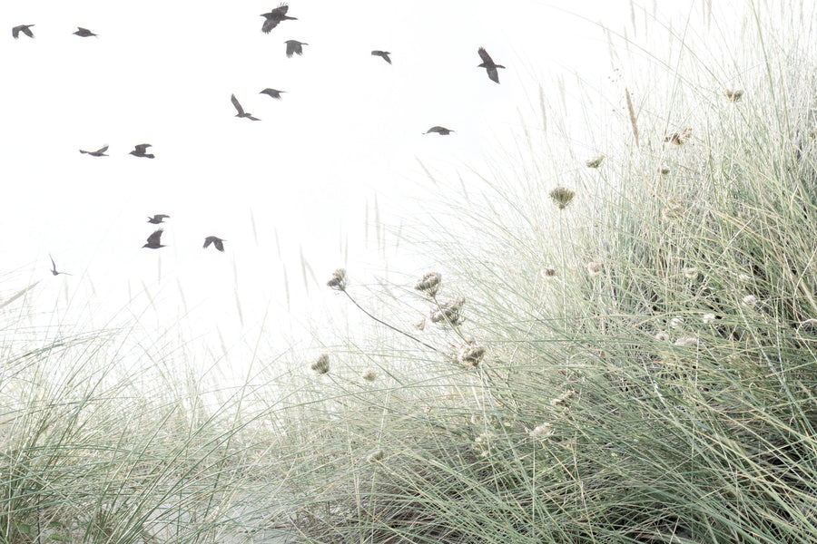 Birds Flying South Mural Wallpaper