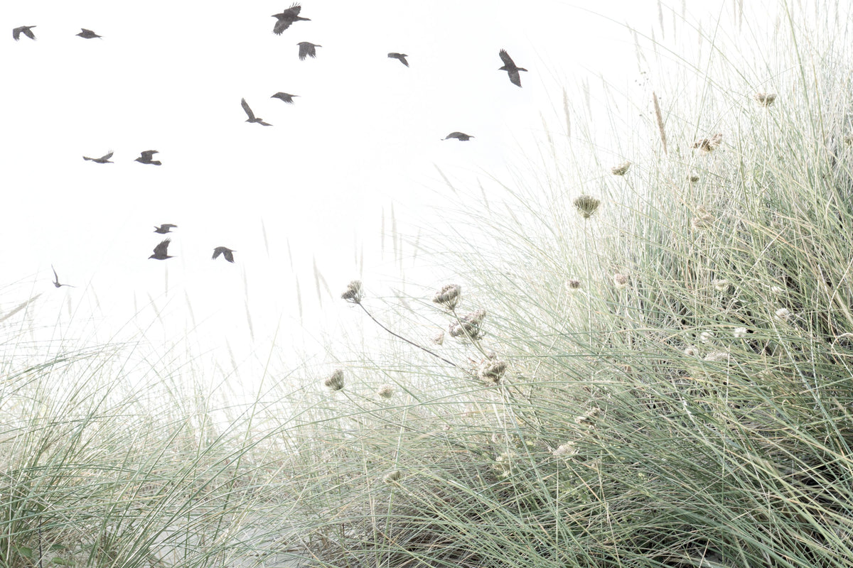 Birds Flying South Mural Wallpaper - pure wallpaper artwork