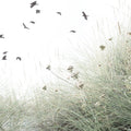 Birds Flying South Mural Wallpaper - pure wallpaper artwork