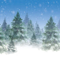 Winter Trees Mural Wallpaper - pure wallpaper artwork