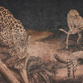 Brazilian Leopards Mural Wallpaper - pure wallpaper artwork