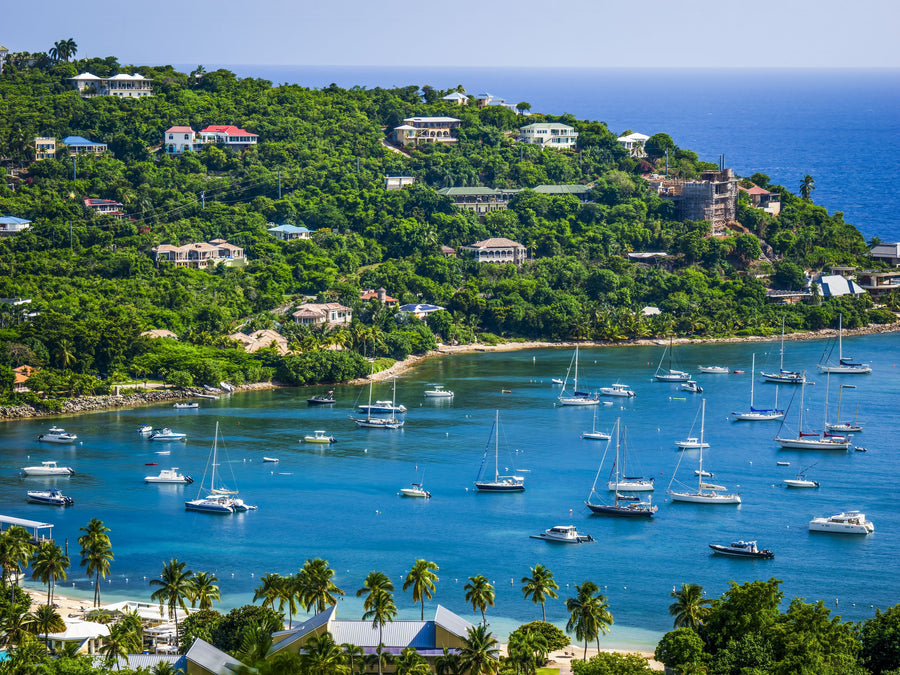 Tropical Harbor Mural Wallpaper