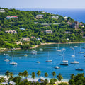 Tropical Harbor Mural Wallpaper - pure wallpaper artwork