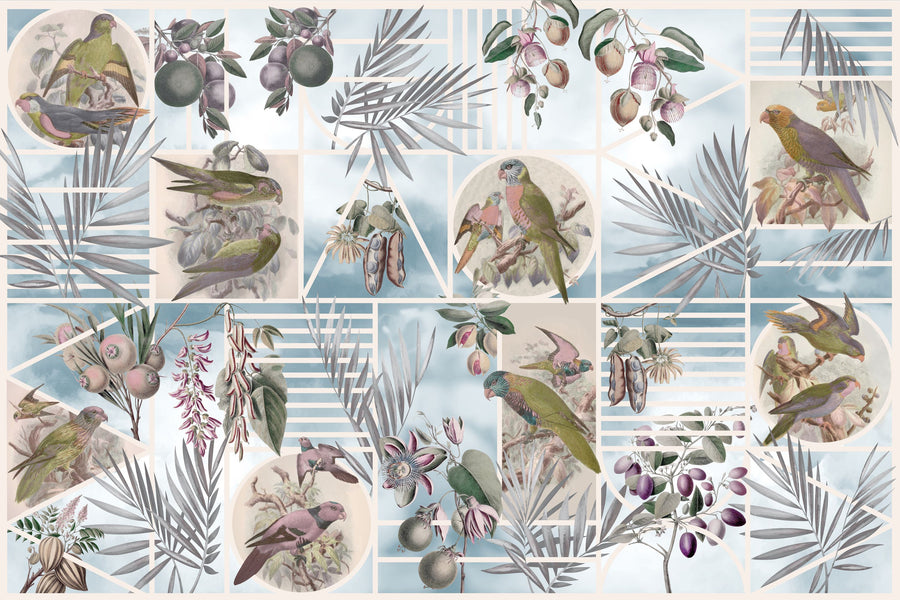 Parrots Study Mural Wallpaper - Edition 4