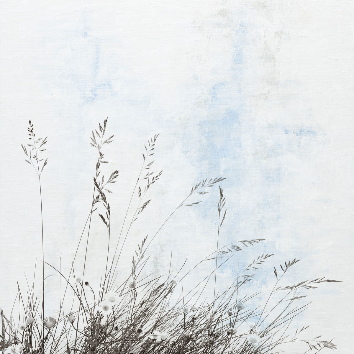 Daisy Meadow Mural Wallpaper - pure wallpaper artwork