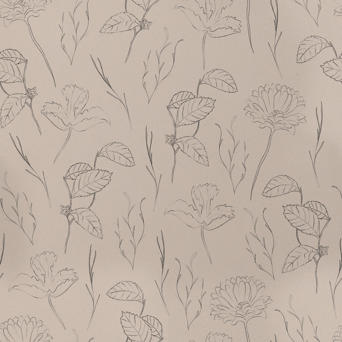 Botanical Study Beige Mural Wallpaper - pure wallpaper artwork