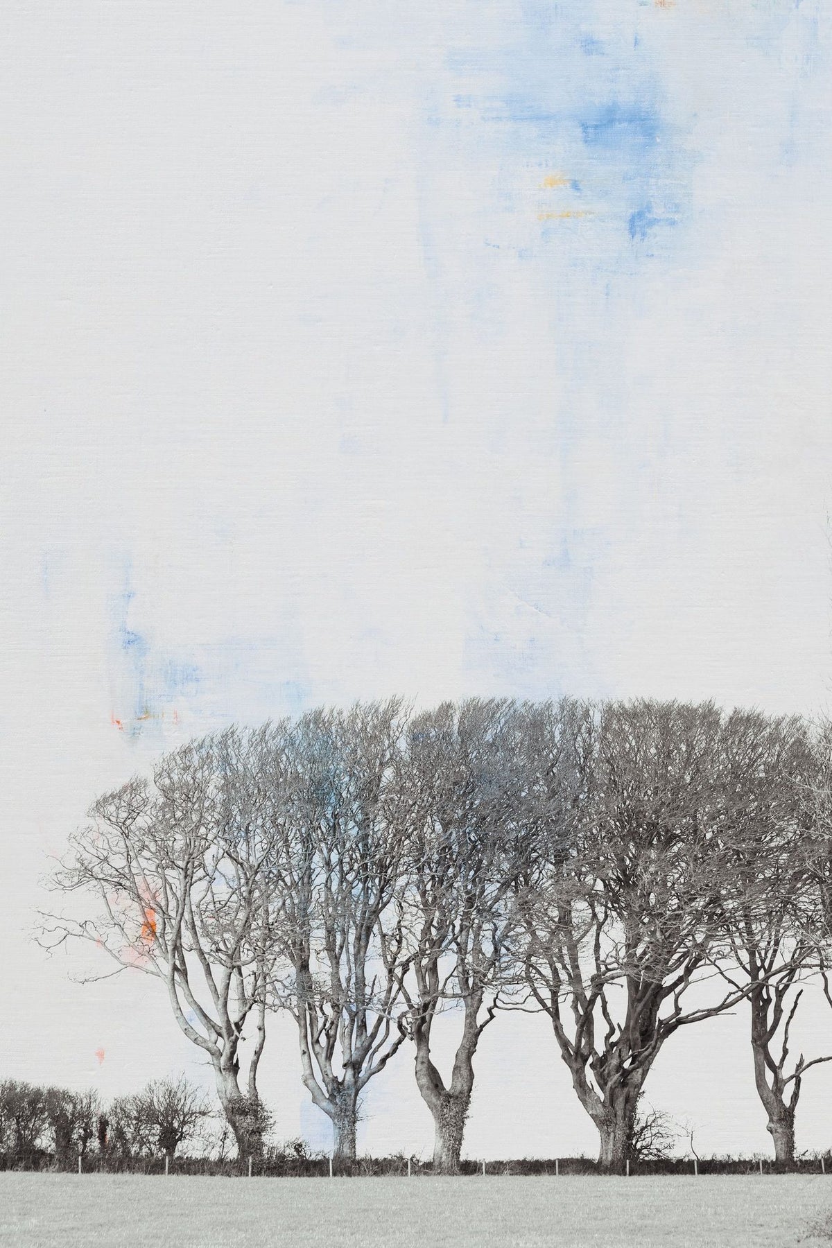 Row of Trees Mural Wallpaper - pure wallpaper artwork
