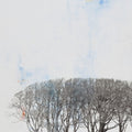 Row of Trees Mural Wallpaper - pure wallpaper artwork