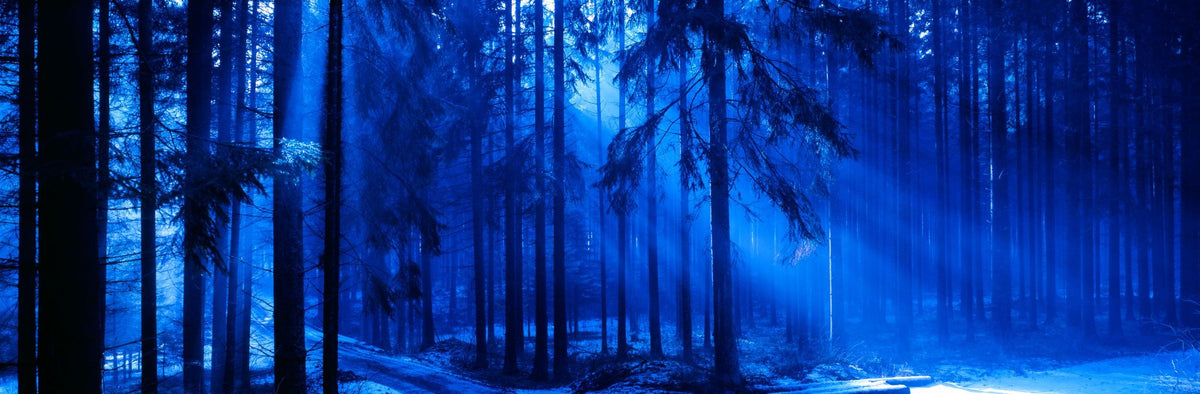 Winter Is Coming Mural Wallpaper - pure wallpaper artwork