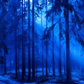 Winter Is Coming Mural Wallpaper - pure wallpaper artwork