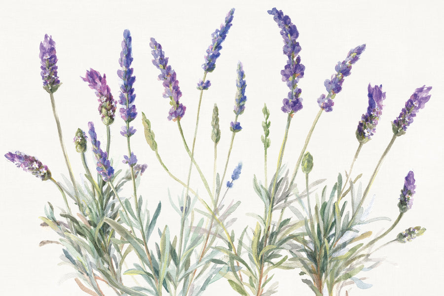 Lavender Line Mural Wallpaper