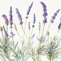 Lavender Line Mural Wallpaper - pure wallpaper artwork