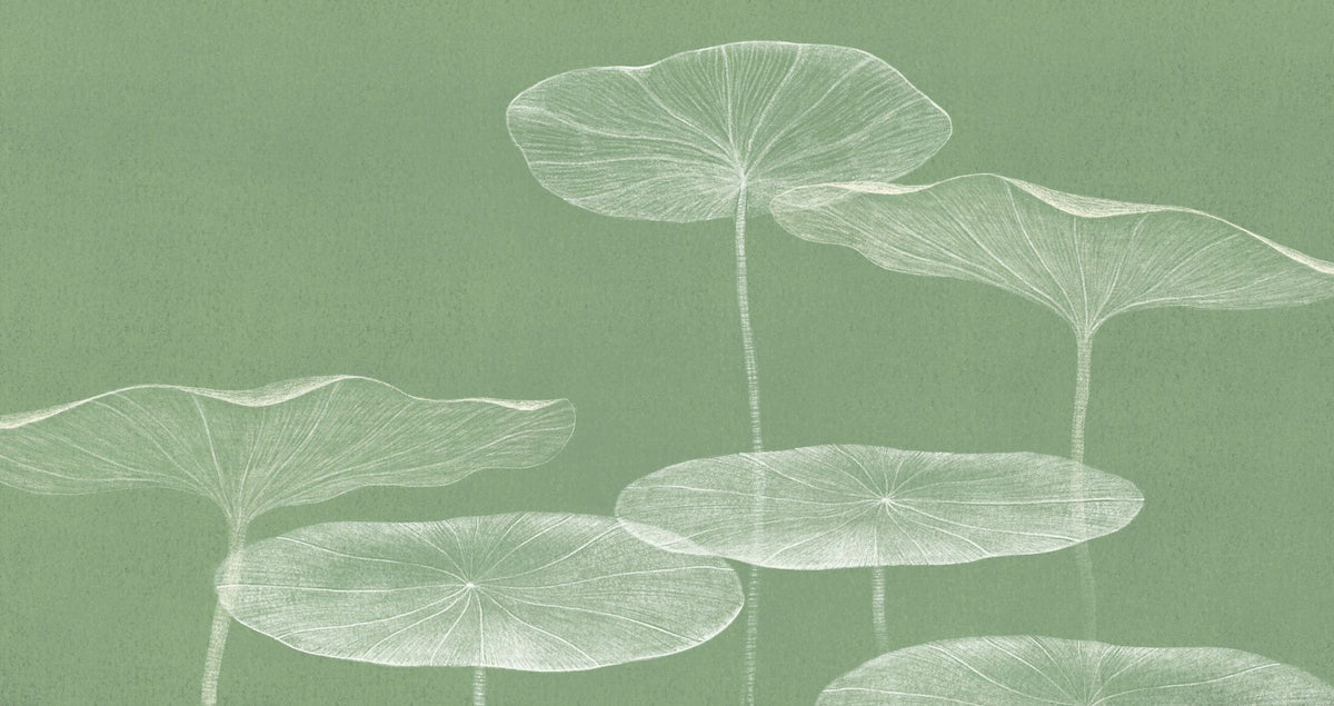 Pond Leaves Mural Wallpaper - pure wallpaper artwork