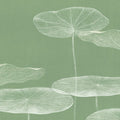 Pond Leaves Mural Wallpaper - pure wallpaper artwork