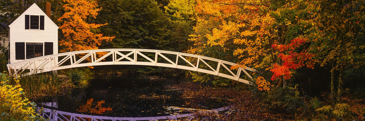 Autumn Footbridge Mural Wallpaper - pure wallpaper artwork