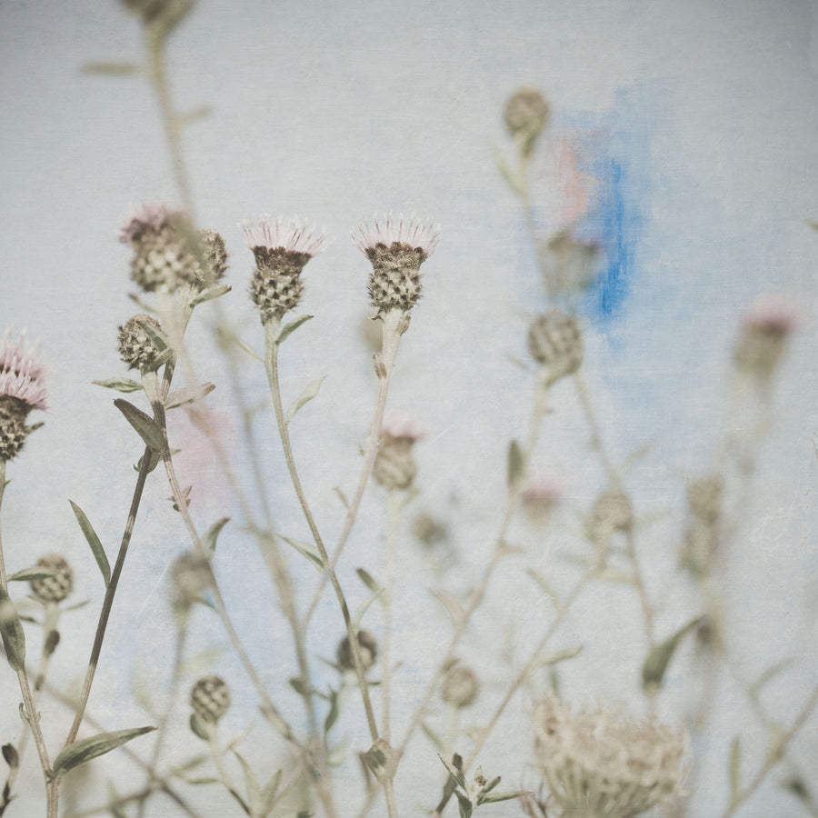 Wild Flowers I Mural Wallpaper