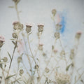 Wild Flowers I Mural Wallpaper - pure wallpaper artwork