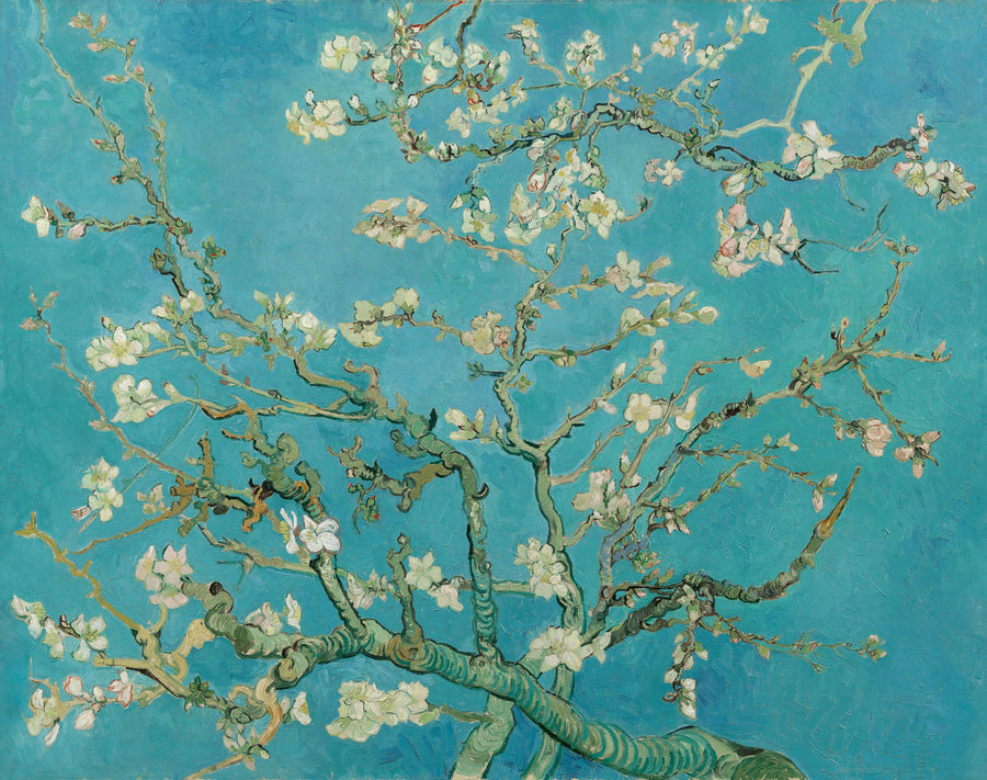 Almond Blossom, Turquoise Mural Wallpaper