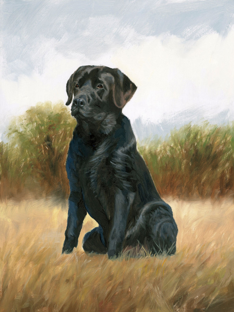 Hunting Dog Lab Mural Wallpaper