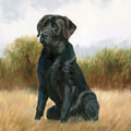 Hunting Dog Lab Mural Wallpaper - pure wallpaper artwork