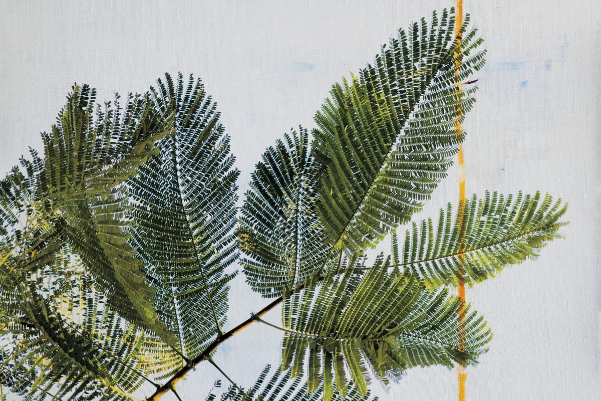 Palm Branch Mural Wallpaper - pure wallpaper artwork