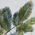 Palm Branch Mural Wallpaper - pure wallpaper artwork