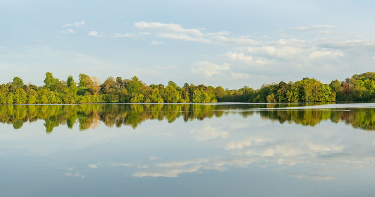 Mirror Lake Mural Wallpaper - pure wallpaper artwork