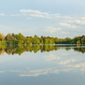 Mirror Lake Mural Wallpaper - pure wallpaper artwork