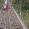 Forest Railway Express Mural Wallpaper - pure wallpaper artwork