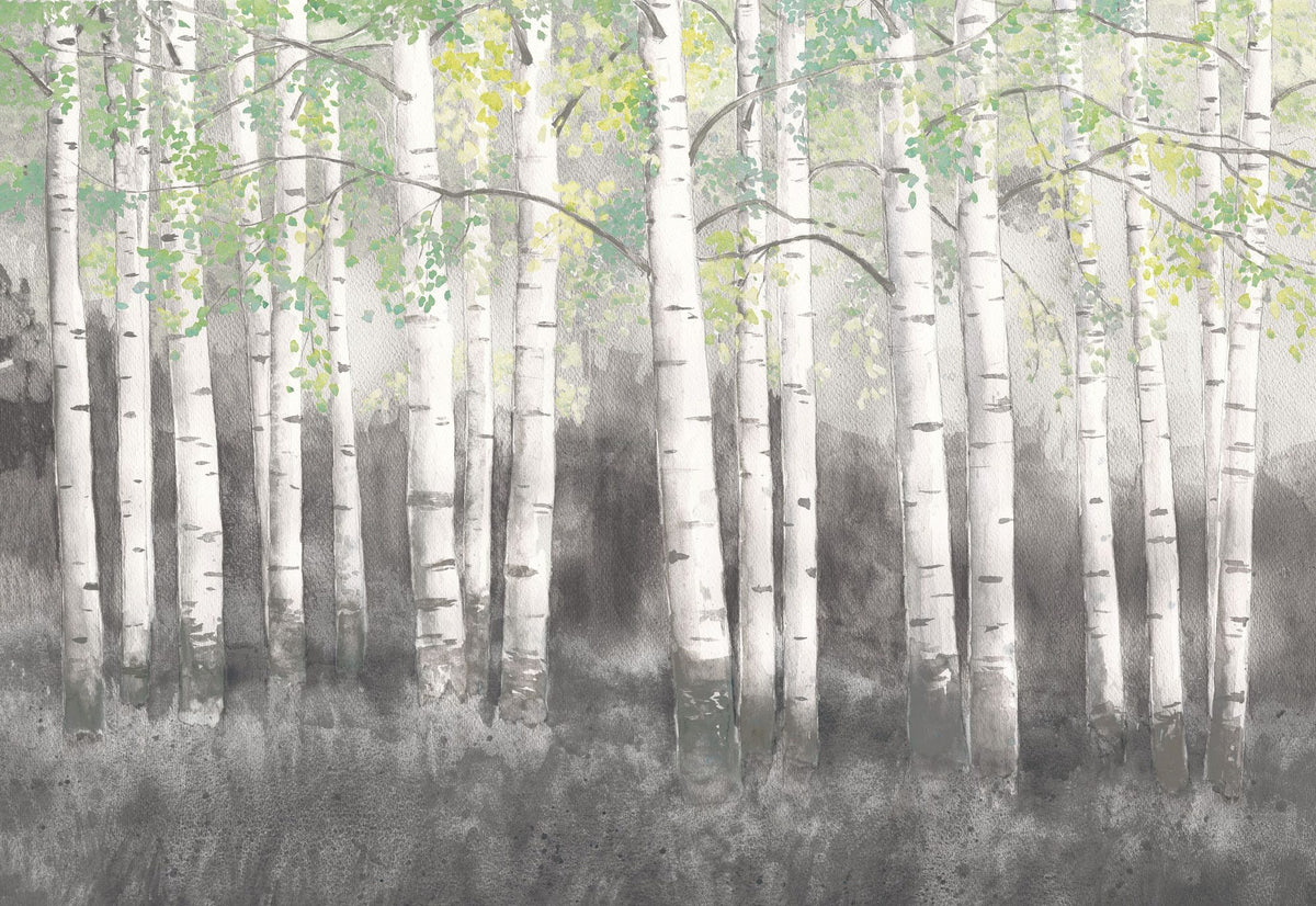 Soft Birches Charcoal Mural Wallpaper - pure wallpaper artwork