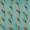 Parrot Paradise III Mural Wallpaper - pure wallpaper artwork