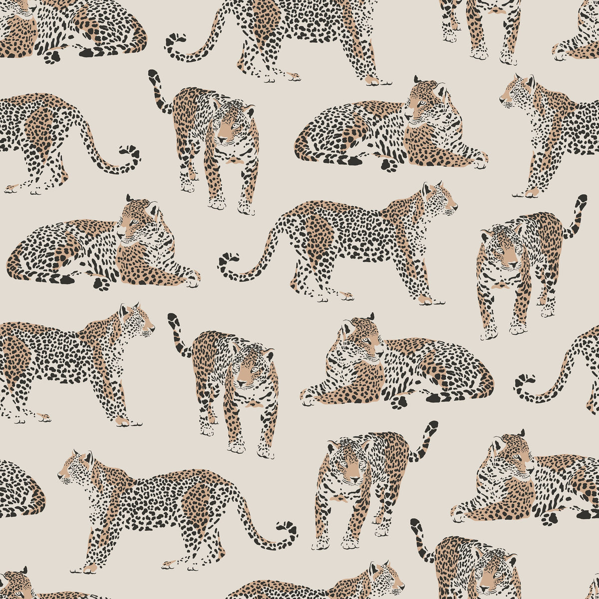 Land of the Leopard Mural Wallpaper - pure wallpaper artwork