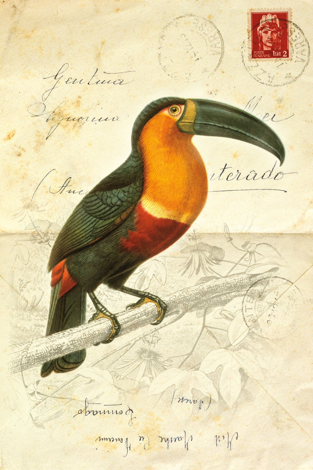 Pretty Bird I Mural Wallpaper - pure wallpaper artwork