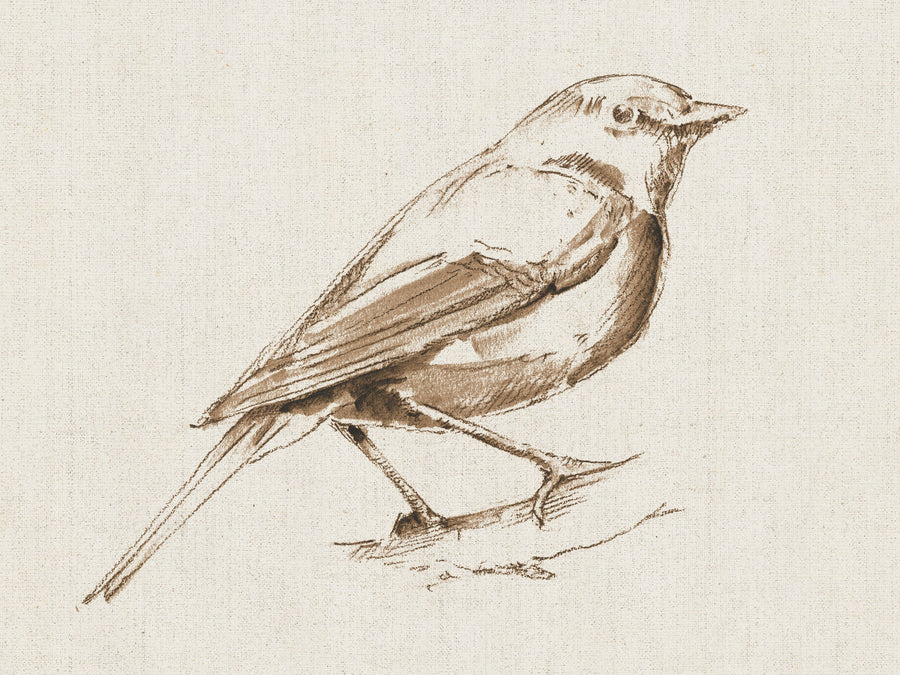 A Blue Note Bird I Mural Wallpaper