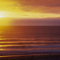 Golden Horizon Mural Wallpaper - pure wallpaper artwork