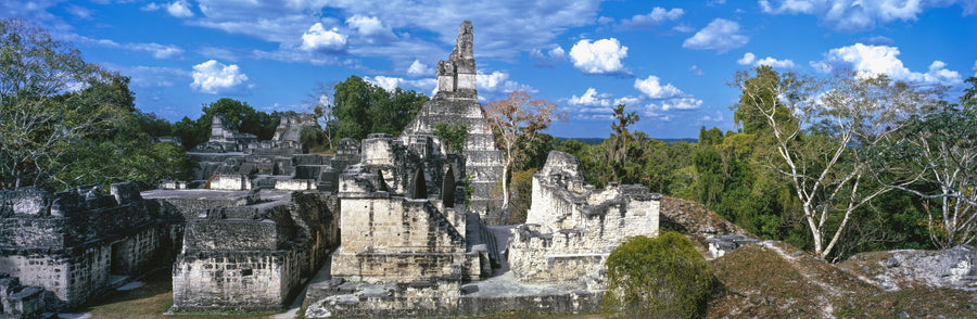 Ancient Temple Wilderness Mural Wallpaper