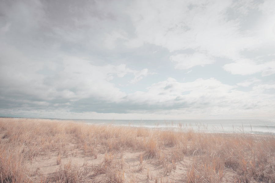 Alone on the Beach Mural Wallpaper