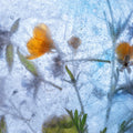 Frosted Blossom Mural Wallpaper - pure wallpaper artwork