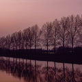 Windmill Twilight Reflection Mural Wallpaper - pure wallpaper artwork