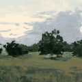 Sunset Fields Country Traditions Mural Wallpaper - pure wallpaper artwork