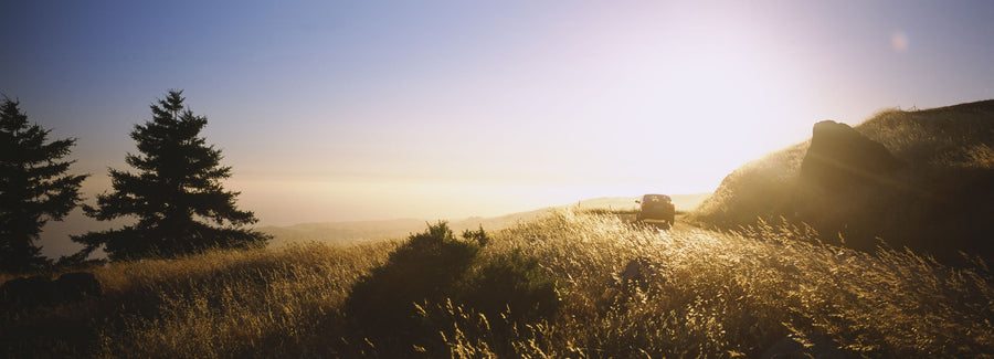 Golden Hour Drive Mural Wallpaper