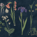 Botanical Floral Chart II Dark Blue Mural Wallpaper - pure wallpaper artwork