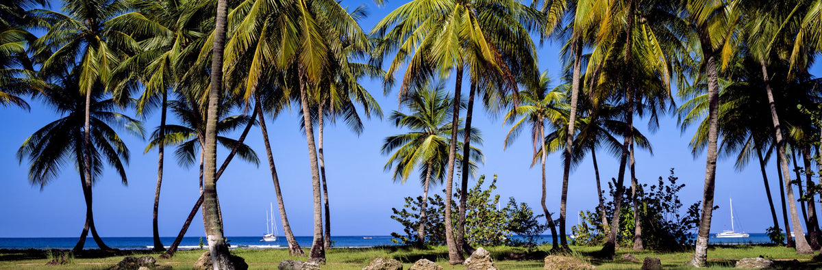 Sailing Through Paradise Mural Wallpaper - pure wallpaper artwork