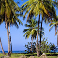 Sailing Through Paradise Mural Wallpaper - pure wallpaper artwork