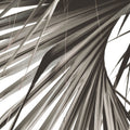 Sepia Palm Mural Wallpaper - pure wallpaper artwork